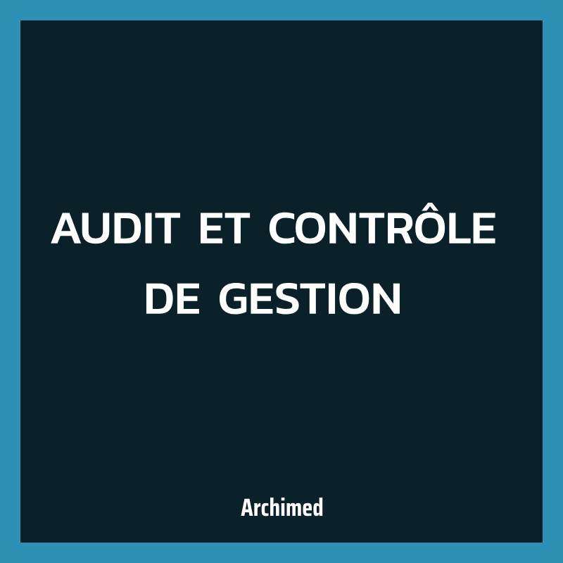 AUDIT ET CONTRÔLE DE GESTION